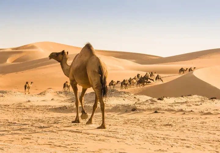 Pogoda Oman – kiedy jechać?